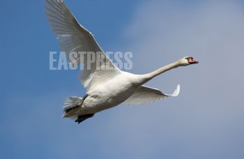 EA316130, Eastpress, Porvoo, Finland